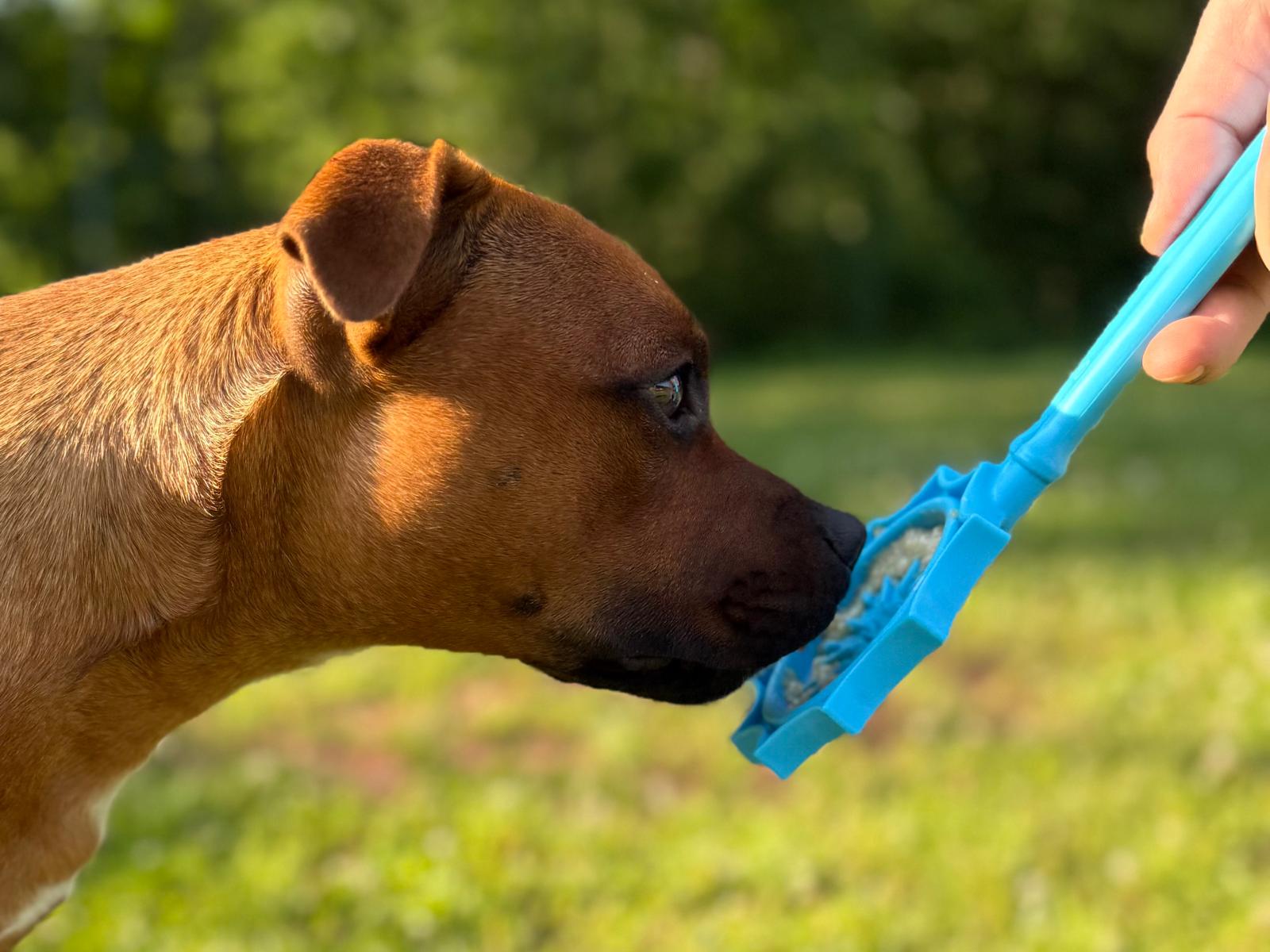 Lickstick trénink